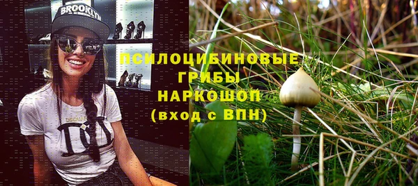 гидропоника Абдулино