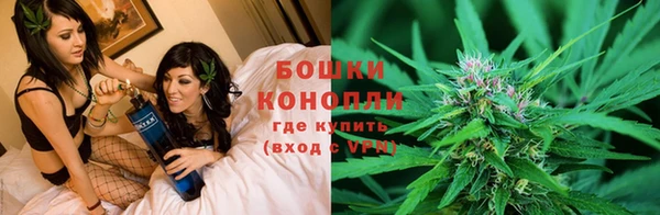 стаф Магадан