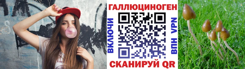 Псилоцибиновые грибы MAGIC MUSHROOMS  Фокино 