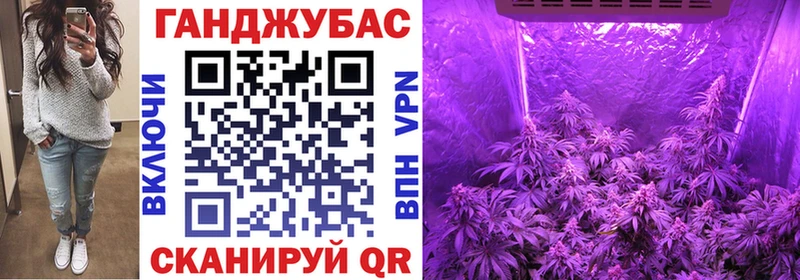 Бошки марихуана планчик  даркнет сайт  Фокино 